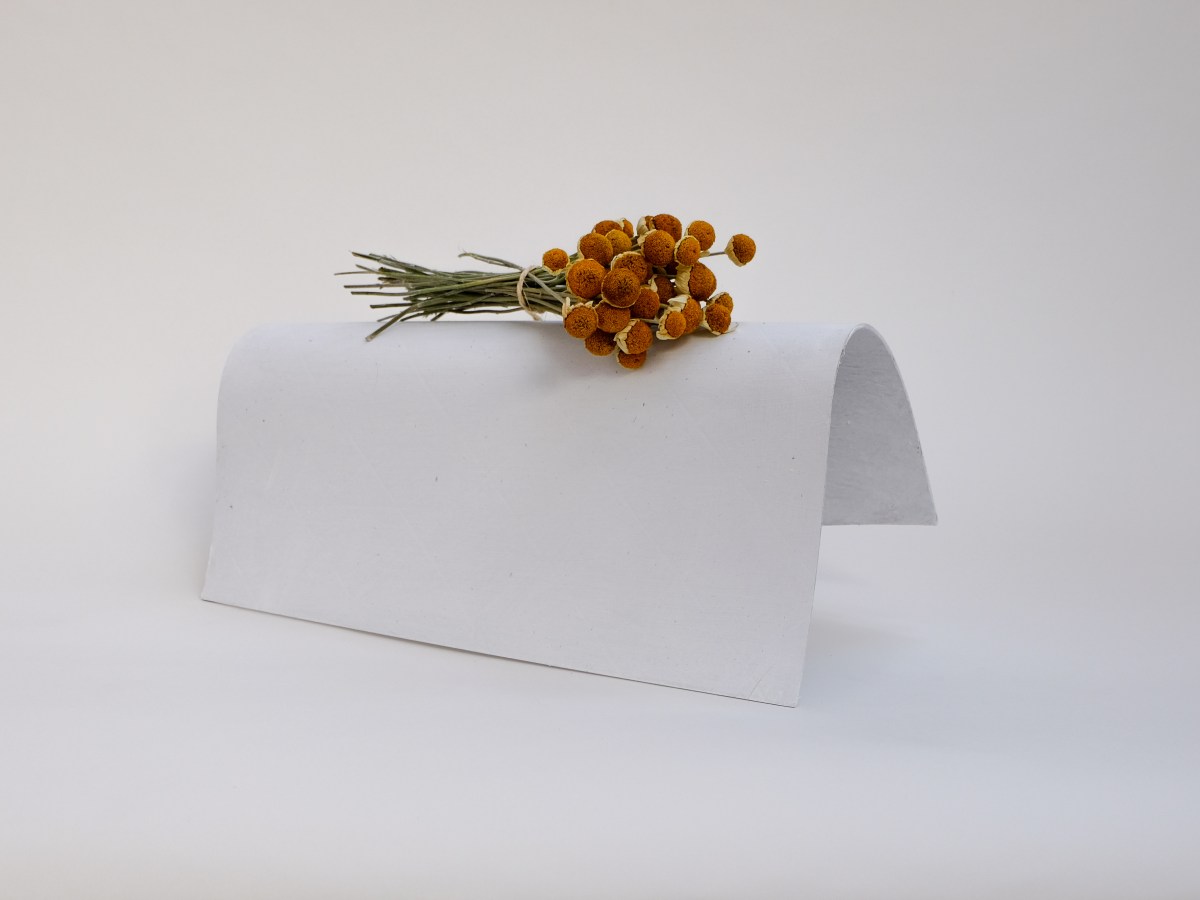 Pensées végétales